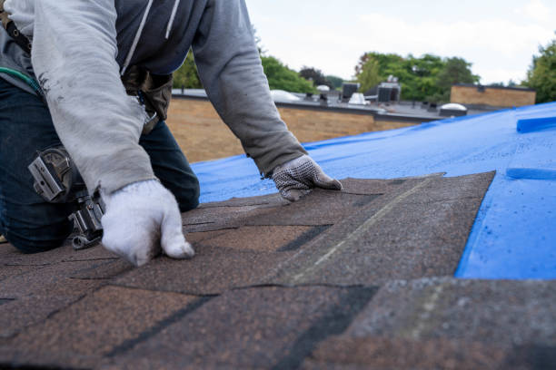 Best Gutter Installation and Roofing  in Inkster, MI