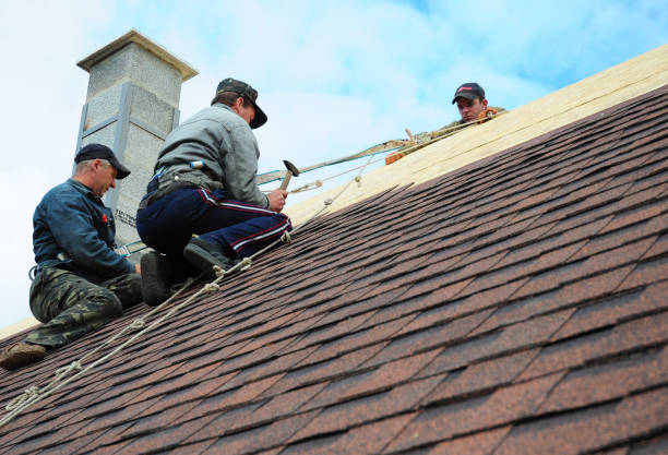 Best Flat Roof Repair Services  in Inkster, MI