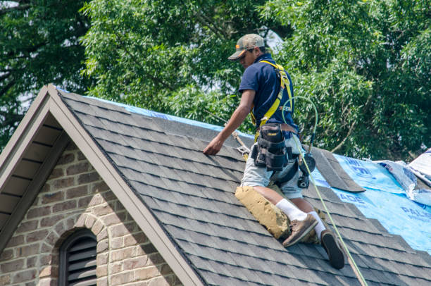 Best Metal Roofing Contractor  in Inkster, MI